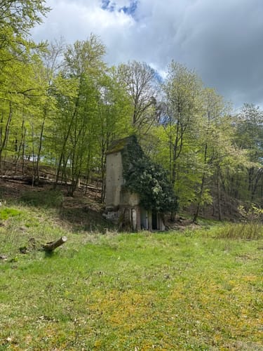 Naurother Grubengold (Premiumwanderweg)