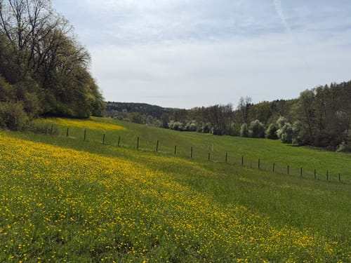 Bonlanden und Bombach Rundweg