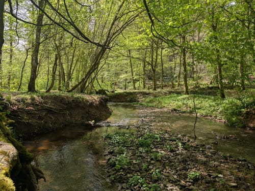 Bonlanden und Bombach Rundweg