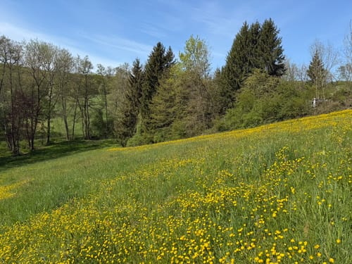 Bonlanden und Bombach Rundweg