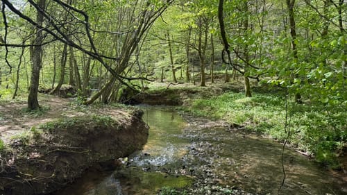 Bonlanden und Bombach Rundweg