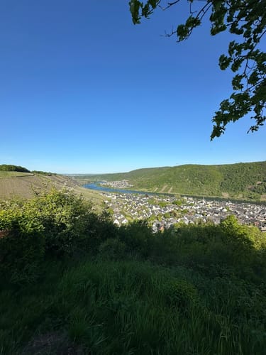 Moseltraum (Traumpfädchen)