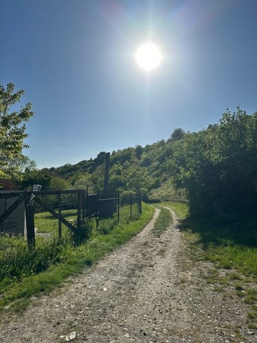 Moseltraum (Traumpfädchen)