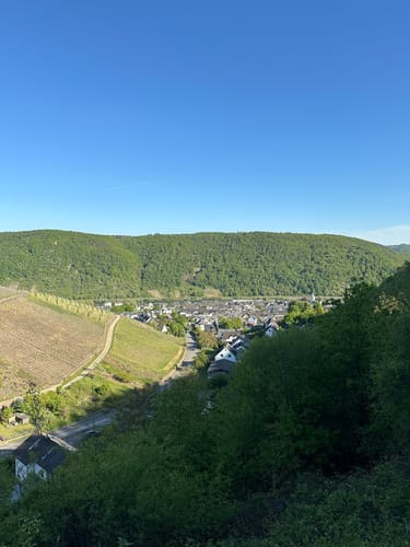 Moseltraum (Traumpfädchen)
