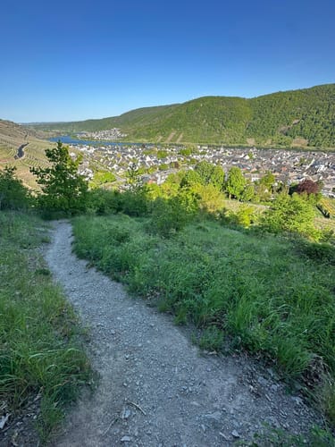 Moseltraum (Traumpfädchen)