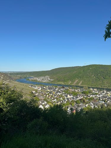 Moseltraum (Traumpfädchen)
