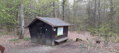 Eifelsteig Etappe 7: Blankenheim - Mirbach