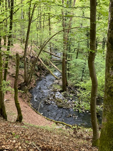 Durch die Strohner Schweiz