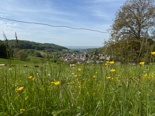 Rund um Inzlingen und Hagenbacher Hof
