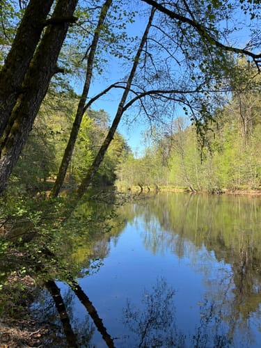 Altschloßpfad (Premiumwanderweg)
