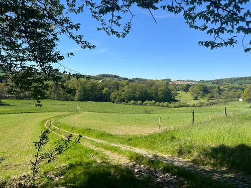 Rundwanderung durch die Elfringhauser Schweiz