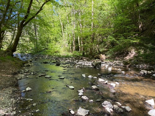HeimatSpur Erlebnisweg Ritter-Räuber-Römer (Bad Bertrich)