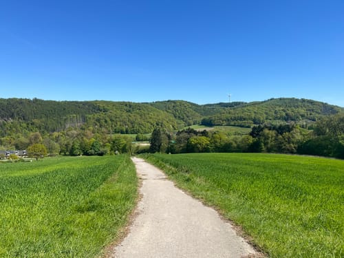 Rundwanderung durch die Elfringhauser Schweiz