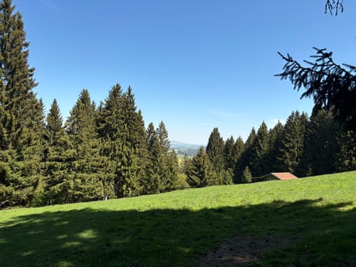 Nesselwang - Höllschlucht - Kappeler Alm