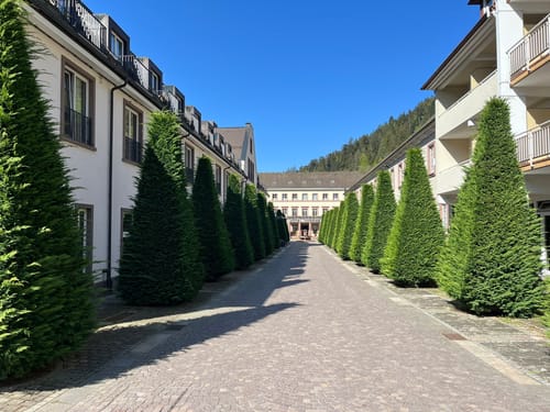 Ostweg Etappe 2: Bad Liebenzell - Bad Teinach
