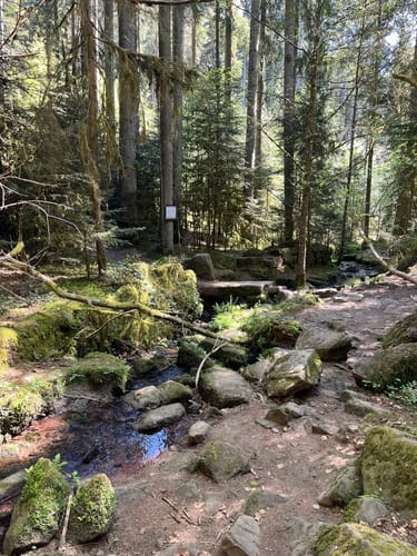 Ostweg Etappe 2: Bad Liebenzell - Bad Teinach