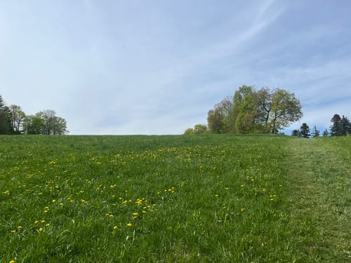 Graf-Eberhard-Weg