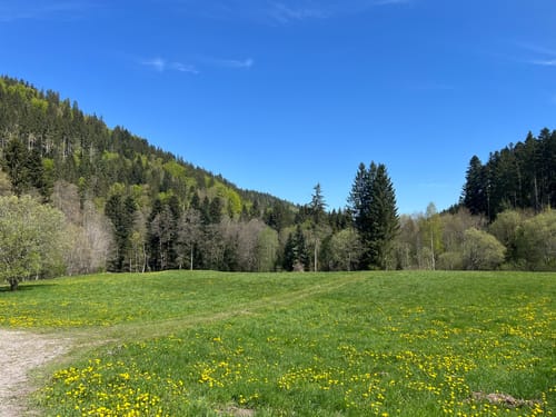 Graf-Eberhard-Weg