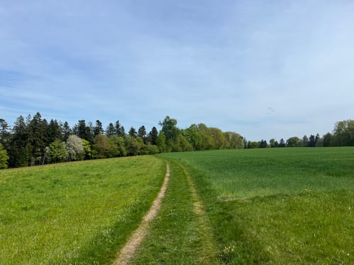 Graf-Eberhard-Weg