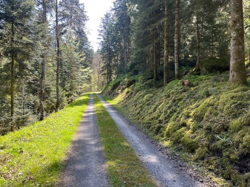 Graf-Eberhard-Weg
