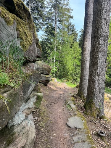 Graf-Eberhard-Weg
