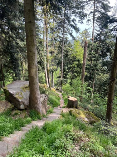 Graf-Eberhard-Weg