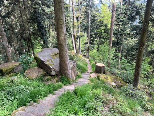 Graf-Eberhard-Weg