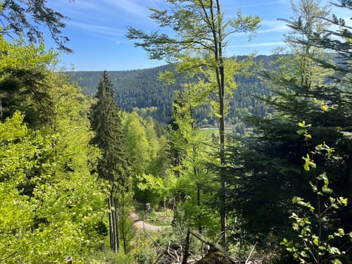 Graf-Eberhard-Weg