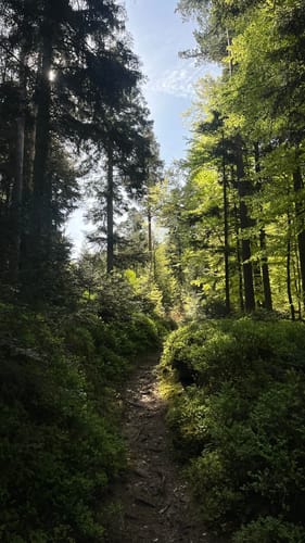 Graf-Eberhard-Weg
