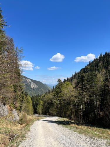 Herzogstand über Reitweg