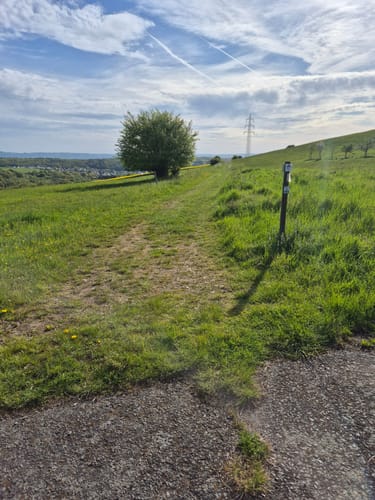 Rund um Schalkenbach