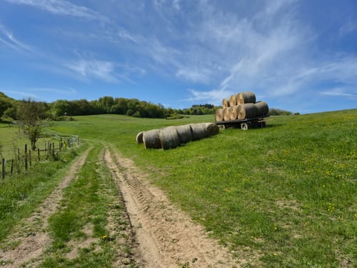 Rund um Schalkenbach