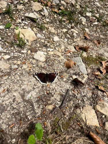 Vom Weitsee zum Stuhlkopf über Gräbenalm