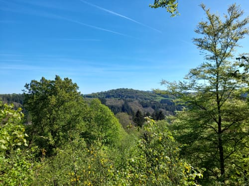 Birresborn: Eishöhlentour