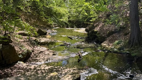 Durch das Föllbachtal in Wolfschlugen