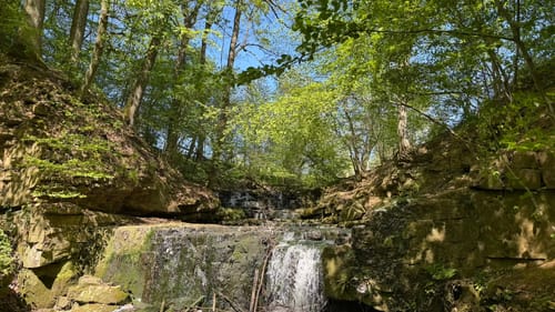 Durch das Föllbachtal in Wolfschlugen