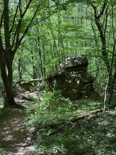 Durch das Föllbachtal in Wolfschlugen