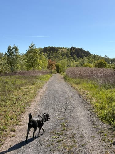 12-Weiher-Weg Heinitz