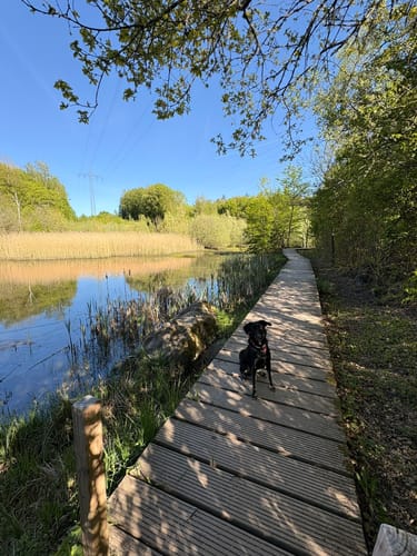 12-Weiher-Weg Heinitz