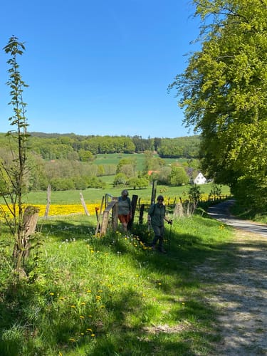 Canyon Blick (Teutoschleife)