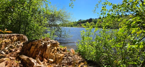 Der Hochwälder (Traumschleife)