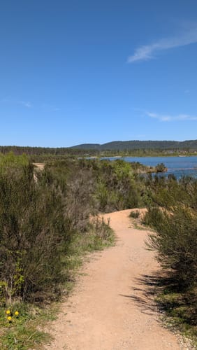 Um den Freizeitsee Dießfurt