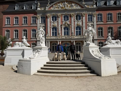 Durch die Innenstadt von Trier und entlang der Mosel