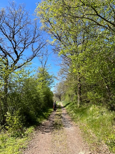 HeimatSpur Antoniusweg