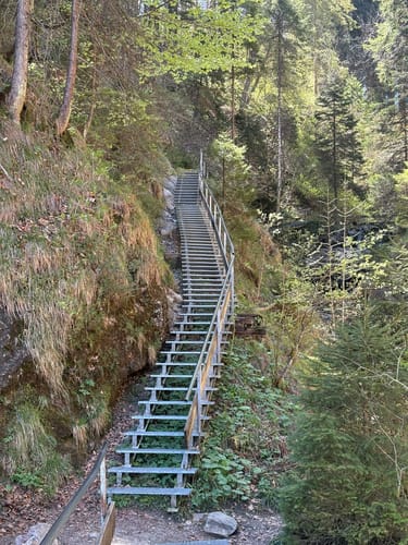 Nesselburg ab Nesselwang