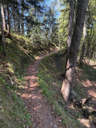 Nesselburg ab Nesselwang