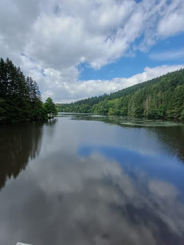 EifelSchleife Kronenburger See (Gemeinde Dahlem)