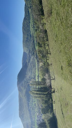 HOCHGEHBERGE I "hochgehadelt" (Premiumwanderweg)