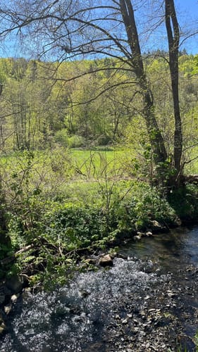 Jesberg Wanderweg Nr. 5