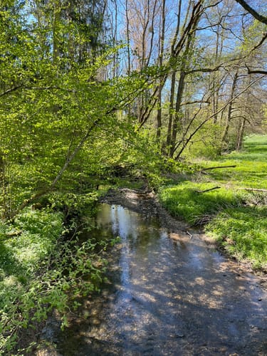 Jesberg Wanderweg Nr. 5